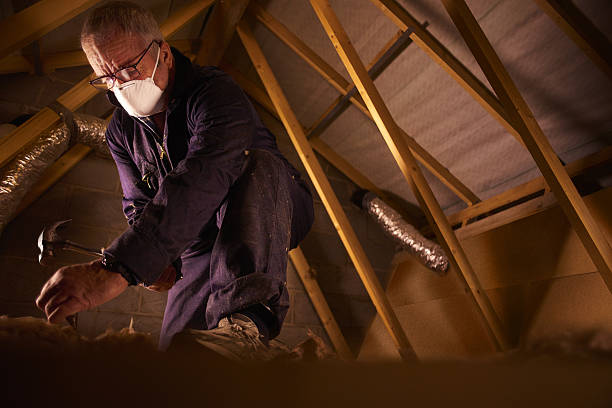 Best Insulation Maintenance and Repair in Newport, WA